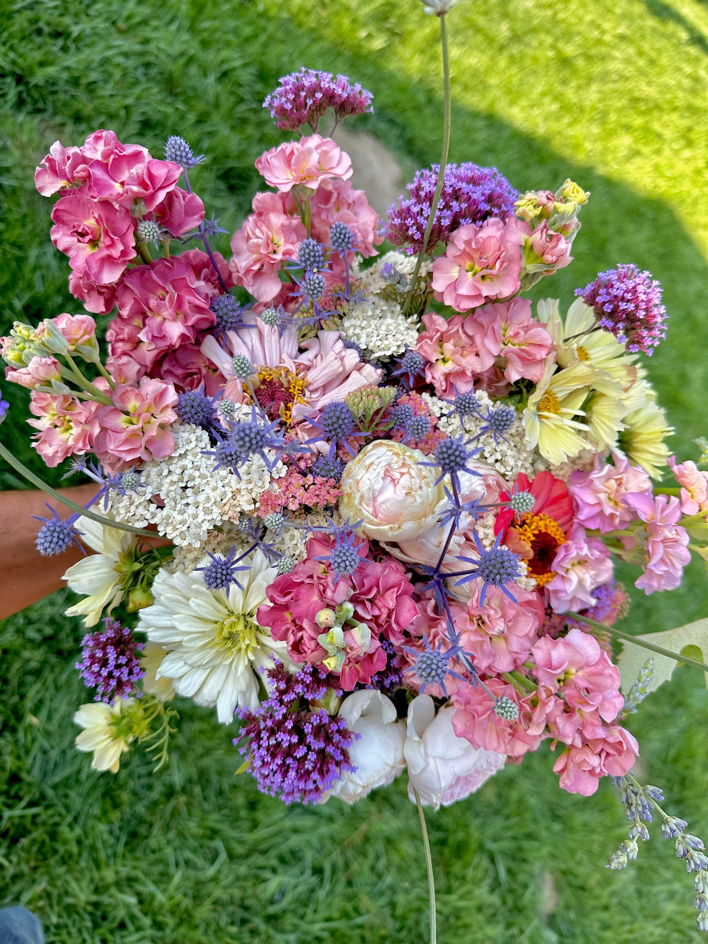 Magic in Bloom: The WG Showcase & U-Pick (Bouquet Included)