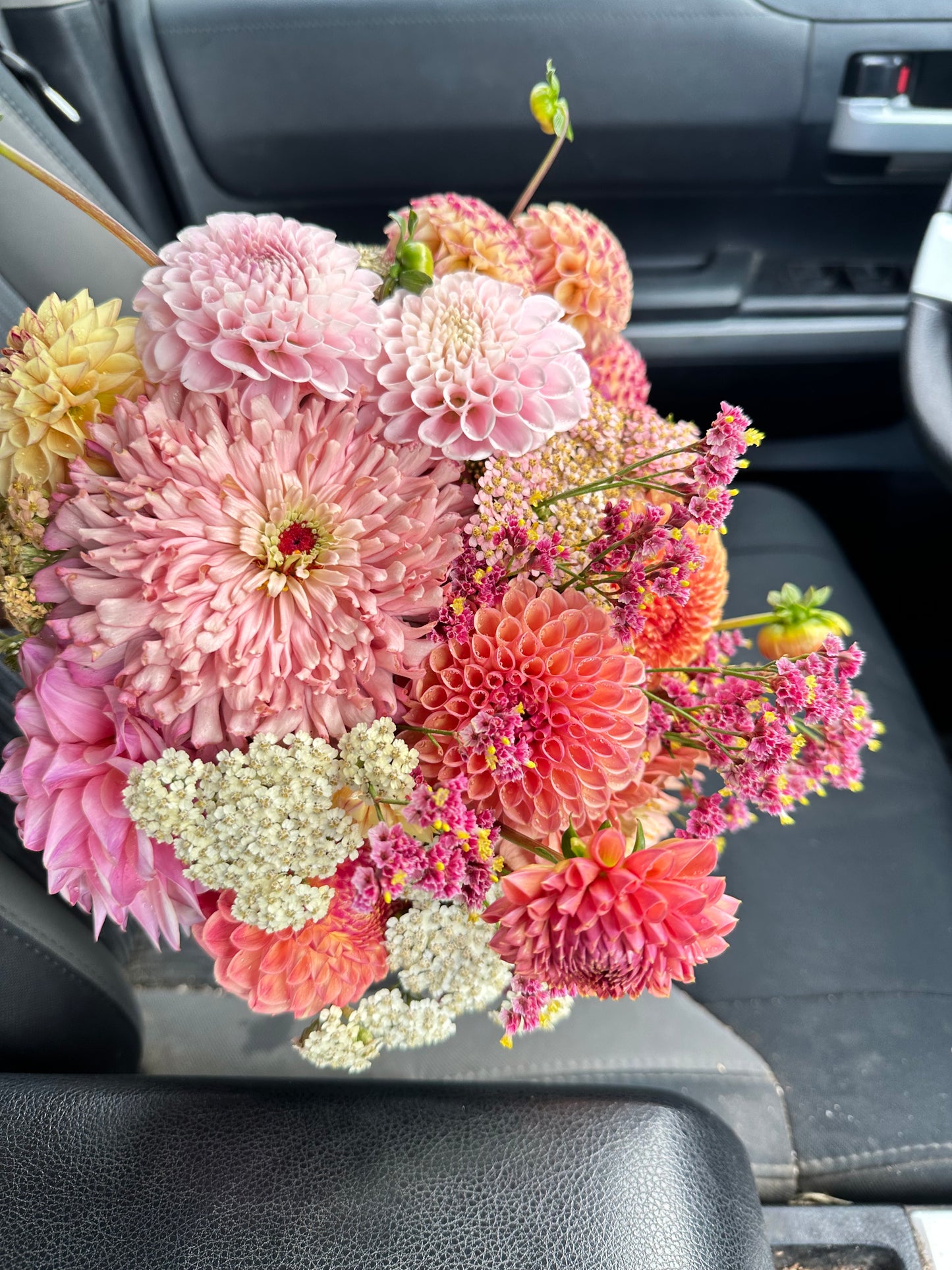 Magic in Bloom: The WG Showcase & U-Pick (Bouquet Included)